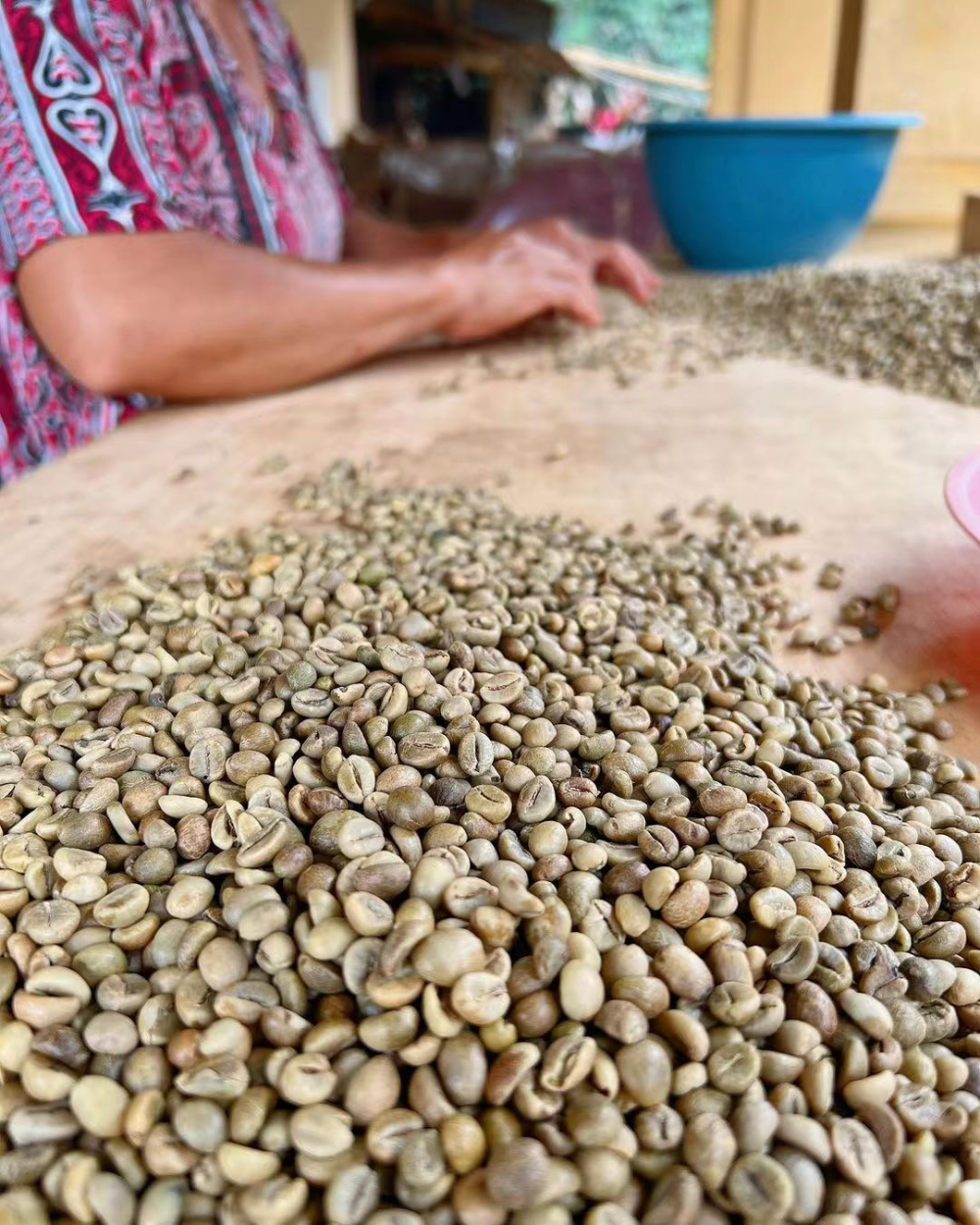 Indonesian PWN Golden Mandheling Pour Over Tutorial: Complete Guide to Extraction Parameters and Flavor Analysis