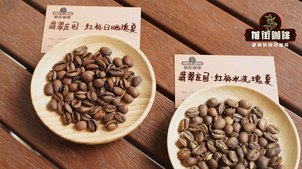 A Comprehensive Guide to Panama Geisha Varieties: Flavor Comparison from Emerald Blue Label to New Volcanic Varietals