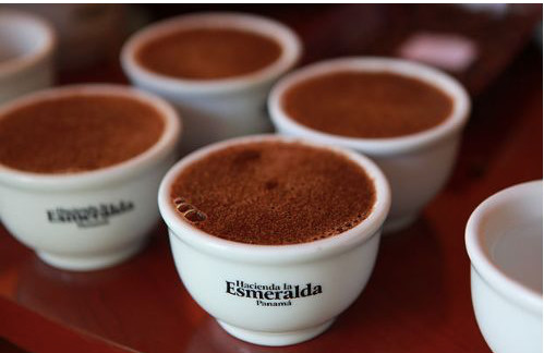 A Complete Guide to Panama vs Ethiopian Geisha: From La Esmeralda to Gesha Village, Plus Pour-Over Brewing Tips with Coffee Drip Bags