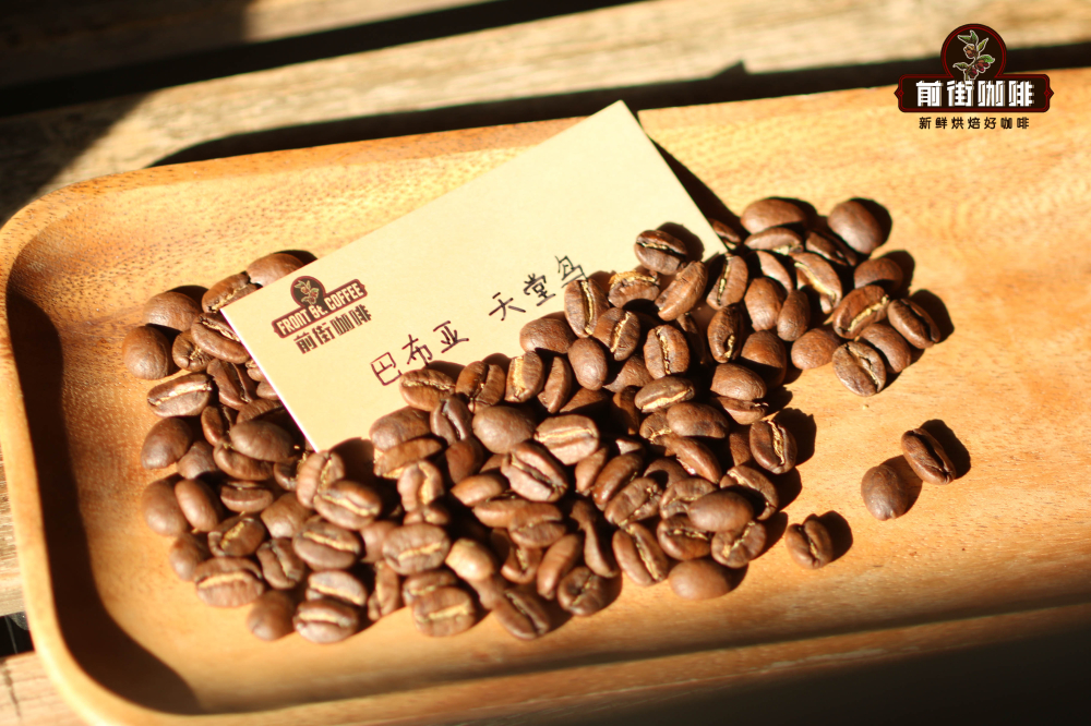 Flavor Profile Analysis and Pour Over Parameters Recommendation for Papua New Guinea Bird of Paradise Coffee Beans