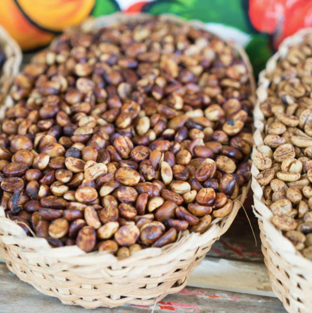 The Secrets of Honey Process Coffee Flavors: A Complete Guide to Mucilage Ratios and Drying Techniques from Yellow Honey to Black Honey