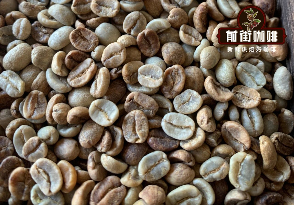 Comparison of Two Major Geisha Estates in Costa Rica | Pour Over Recommendations and Variety Flavor Analysis