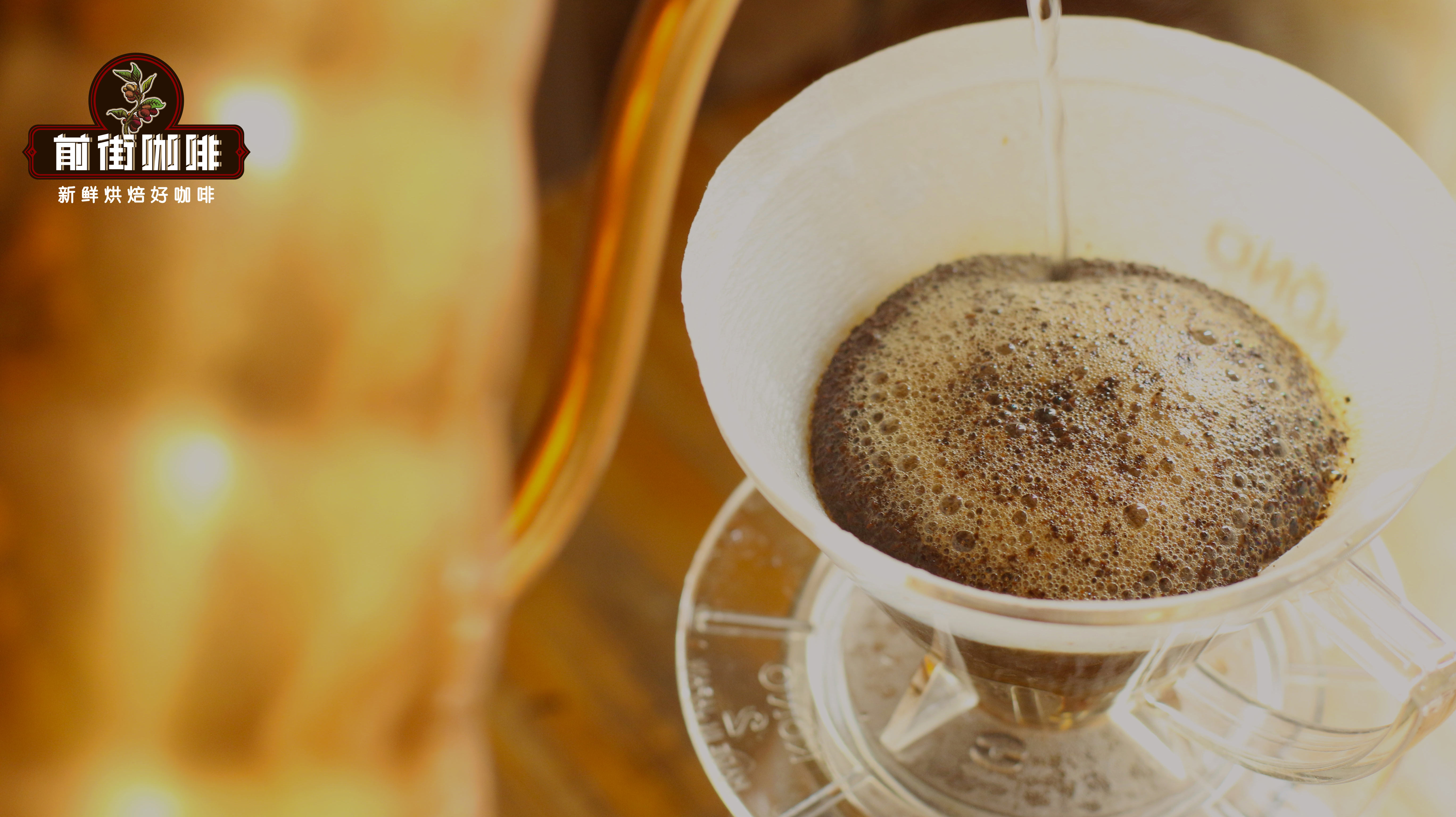 Reasons Behind Jamaican Blue Mountain Coffee Being Packed in Wooden Barrels & Pour Over Guide for Grade 1 Beans
