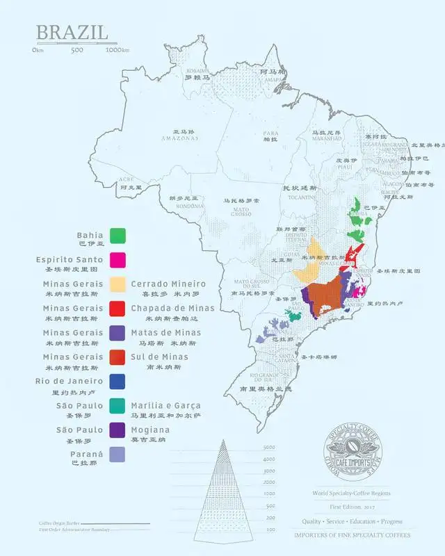 Complete Guide to Brazilian Coffee: From Regional Flavors to Pour Over Parameters for Red and Yellow Bourbon
