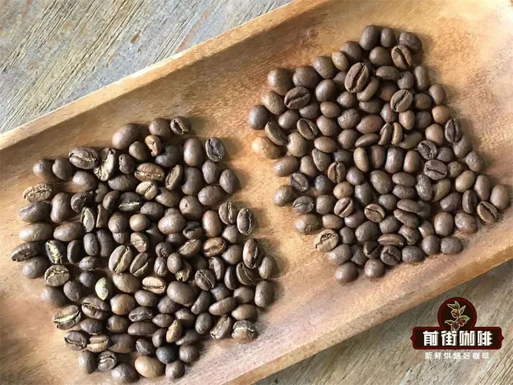 Sun-Dried vs Washed Coffee Processing Methods: Steps, Flavor Analysis, and Differences Between Green and Roasted Beans