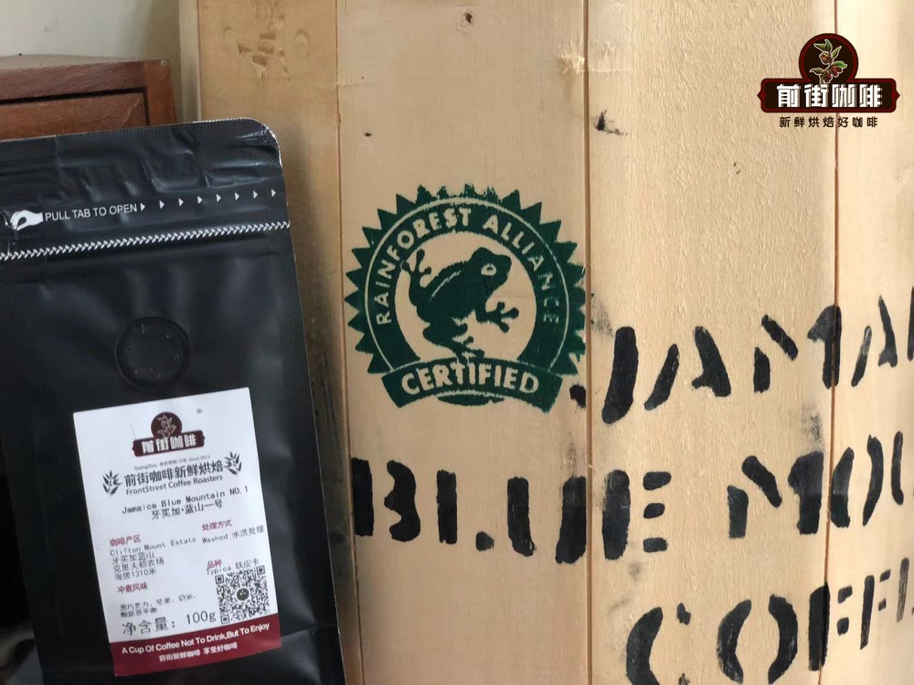 Complete Guide to Jamaican Blue Mountain Coffee: Flavor, Region, Processing Methods, and Authenticity Identification