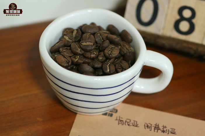 Kenya Assaliya Washed Bean Pour Over Tutorial: K72 Processing Method and Flavor Extraction Techniques