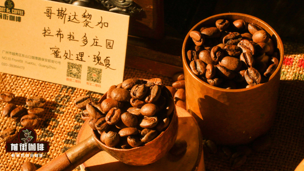 Costa Rica San Isidro Labrador Geisha Honey Process Beans: Pour Over Flavor Profile and Brewing Parameters