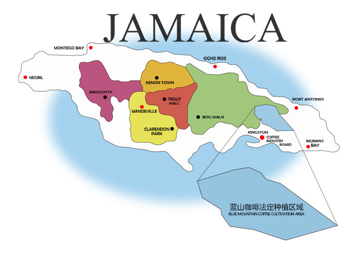 The Ultimate Guide to Jamaican Blue Mountain No.1: Flavors of the Clydesdale Estate, Certifications, and Pour Over Techniques