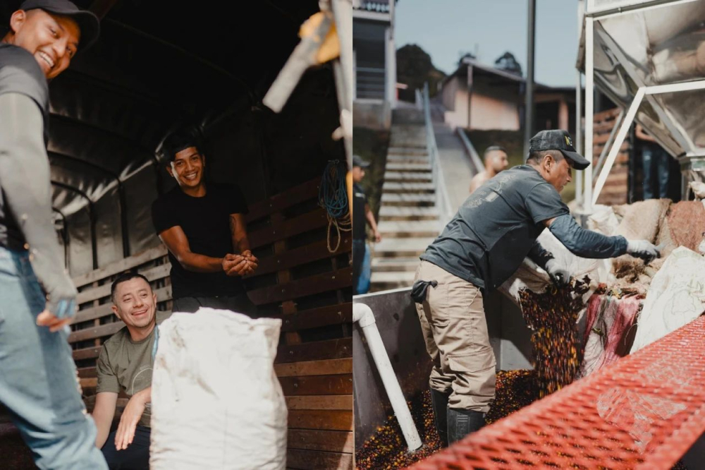 Colombian Paradise Estate SOE Double Anaerobic Washed Coffee Beans: Flavor Profile and Best Pour Over Settings
