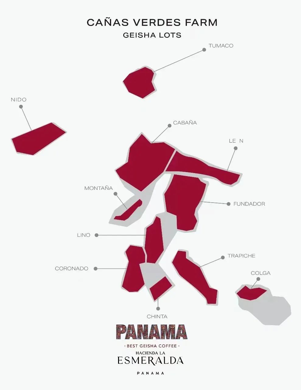 A Complete Guide to Panamanian Geisha Coffee: From Origins to Brewing, La Esmeralda Estate Grading & Flavor Profile