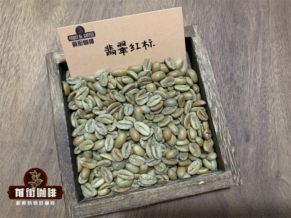 A Complete Guide to Panama Geisha Finca La Esmeralda: Differences Between Red, Green, and Blue Labels, Brewing Tips, and the Secrets Behind the Prices