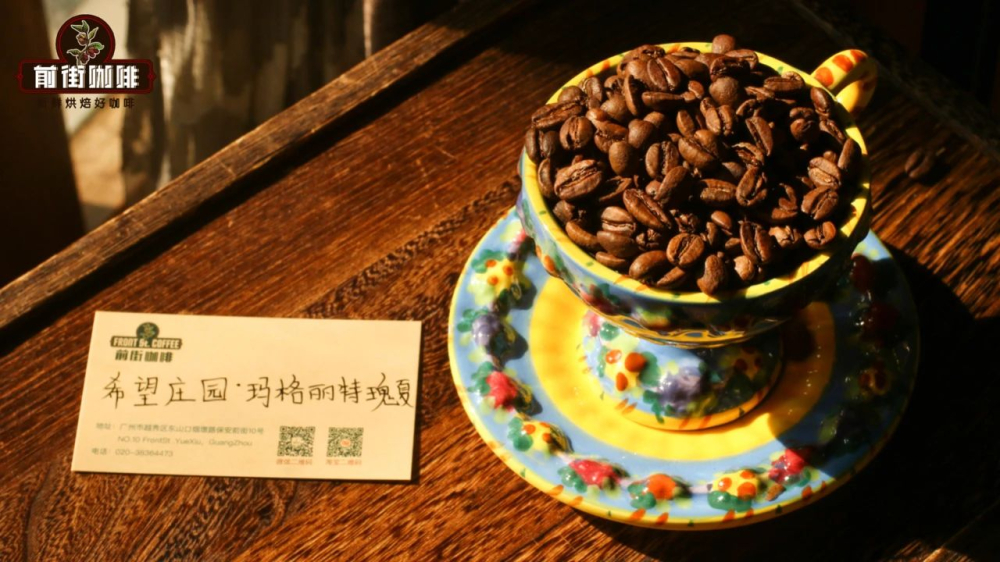 The Ultimate Pour Over Guide to Geisha Coffee: Regional Differences, La Esmeralda Estate Grading & Brewing Parameters