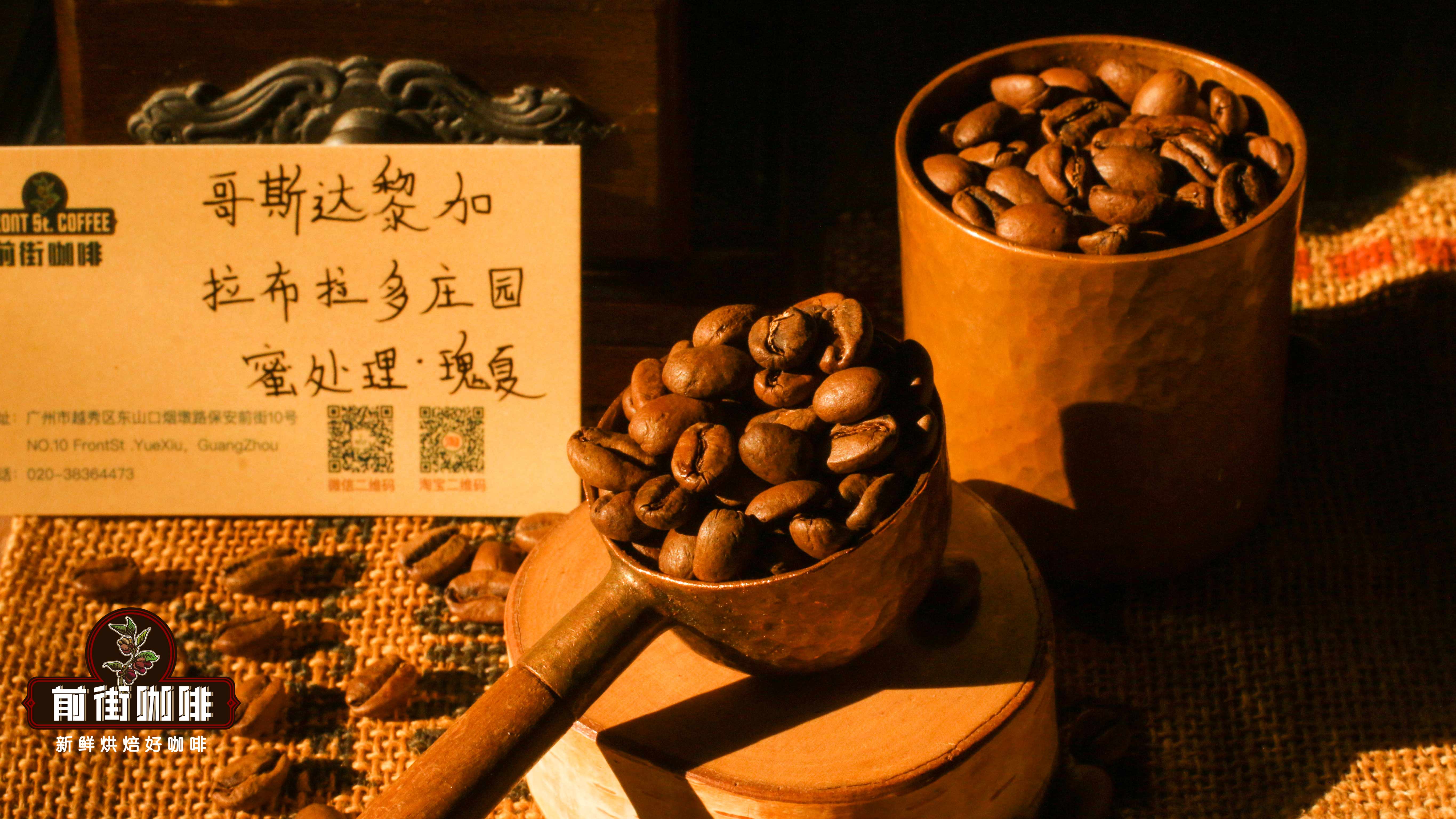 The Ultimate Pour Over Guide to Geisha Coffee: Regional Differences, La Esmeralda Estate Grading & Brewing Parameters