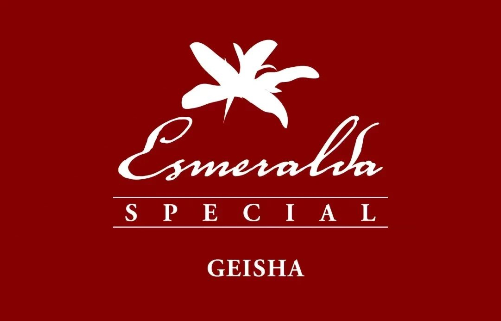 The Ultimate Guide to Panamanian Emerald Geisha: Terroir Breakdown, Red/Green/Blue Label Differences, and Pour Over Recommendations