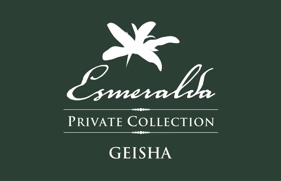 The Ultimate Guide to Panamanian Emerald Geisha: Terroir Breakdown, Red/Green/Blue Label Differences, and Pour Over Recommendations