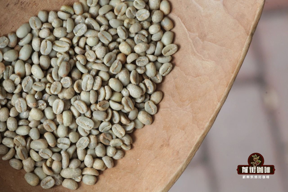 Yirgacheffe Flavor Guide | A Complete Overview of the Region, Cooperatives, and Pour Over Parameters