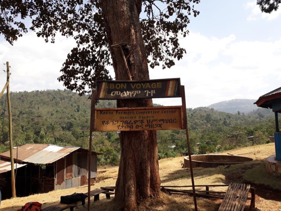 How to Brew the Yirgacheffe Konga Natural Coffee Beans? A Complete Guide from Region to Flavor and Pour Over Parameters