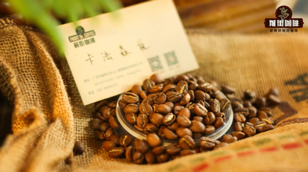Analysis of Ethiopian Coffee Bean Varieties: Purchasing Recommendations for Heirloom, Landrace, and G1 Washed Beans