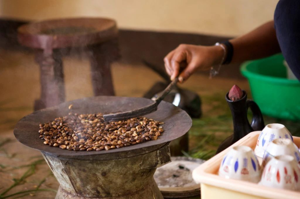 Sidamo Coffee Flavor Analysis and Pour Over Practical Guide | Comprehensive Extraction Parameters for Hua Kui Beans