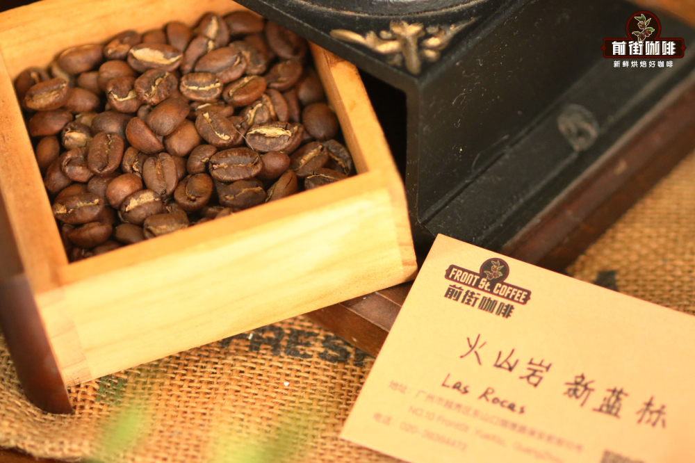 Best Pour Over Geisha Coffee Grind-to-Water Ratio Test: Practical Analysis of 1:15 to 1:18 Ratios and Flavor Profiles