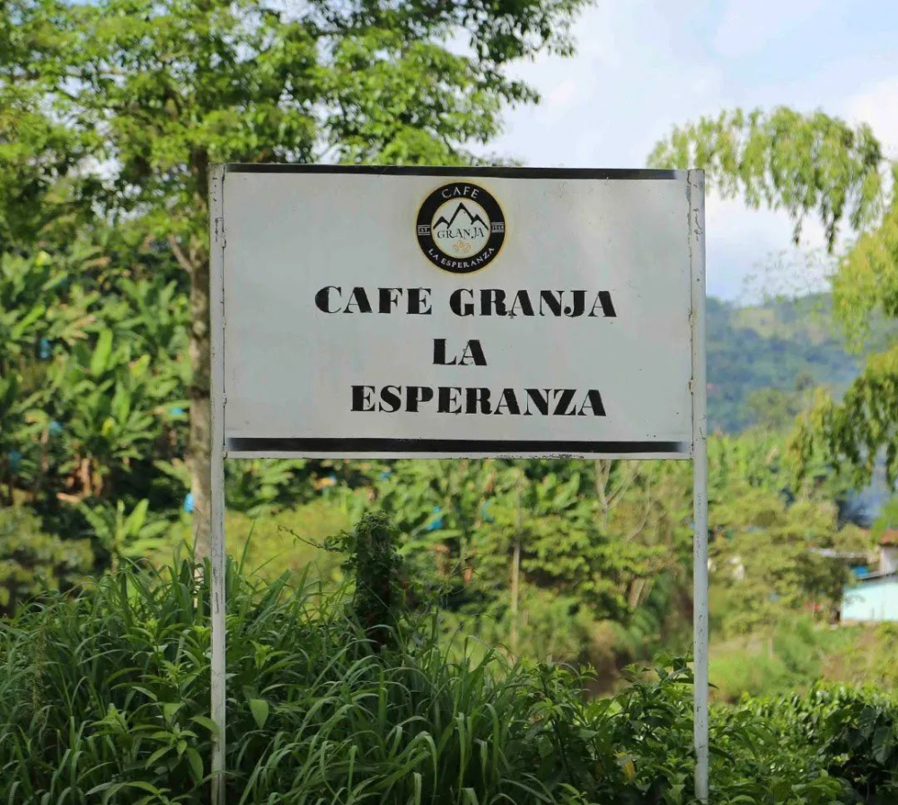 Analysis of Colombian Geisha Natural Process Beans: Complete Guide to Hopes Estate's Origin and Flavor Characteristics