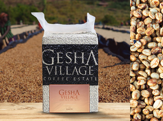 Ethiopia Gesha Village Gold Label Gesha: A Complete Guide to Its Variety Origins and Pour Over Parameters