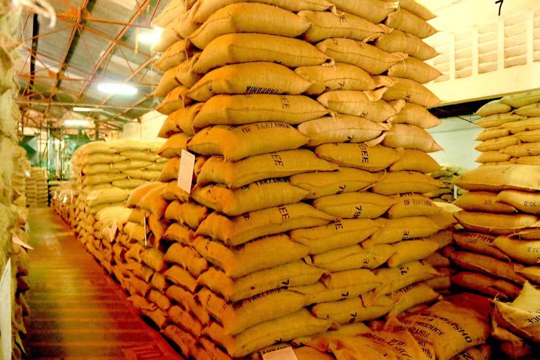 How to Brew Tanzanian Kilimanjaro Coffee? A Complete Guide to Pour Over Flavor & Regional Grading