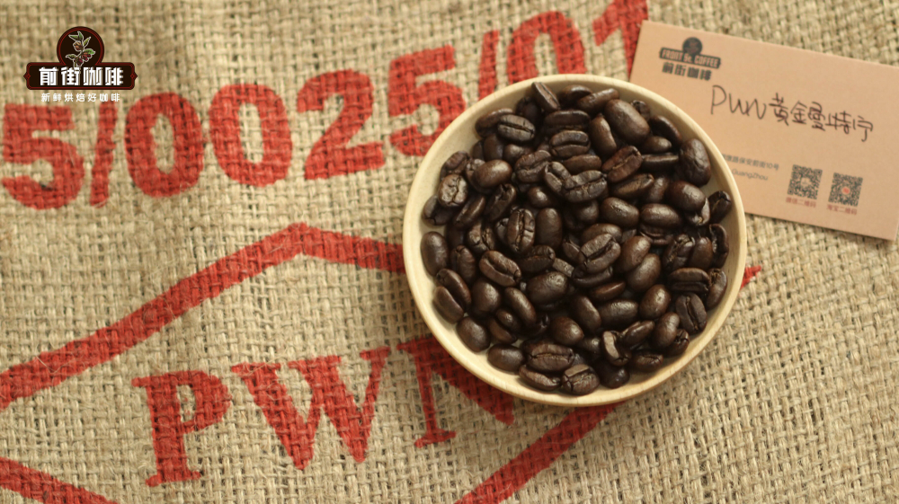 Complete Guide to Typica Coffee Varieties: Origins, Evolution, Flavor Characteristics, and Brewing Recommendations