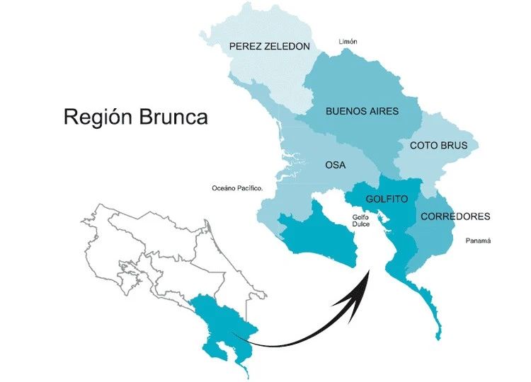 A Comprehensive Analysis of Flavor Profiles and Growing Backgrounds in Costa Rica's Tarrazú and West Valley Geisha Regions