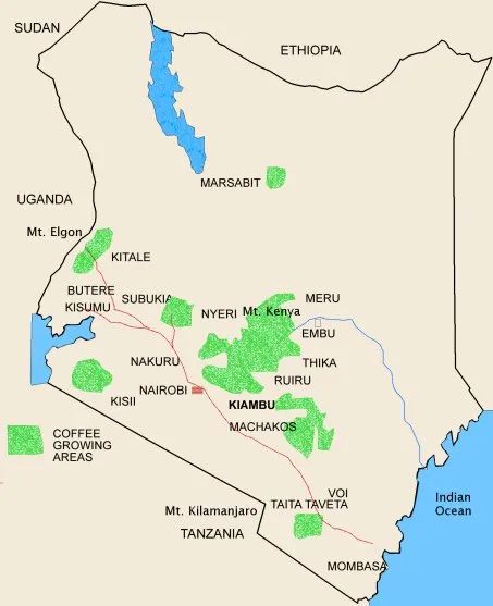 Complete Guide to Kenyan AA Washed Coffee: K72 Process Breakdown & Flavor Differences from Sun-Dried Bourbon