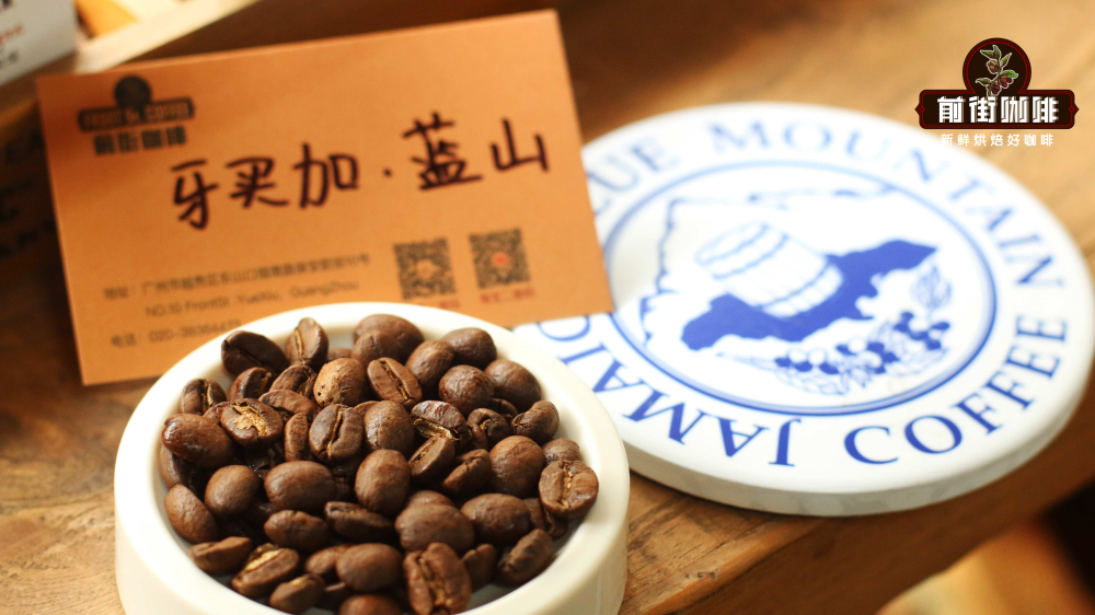 Complete Guide to Jamaican Blue Mountain No.1 Coffee Beans: Region, Clifton Estate, and Pour Over Parameters