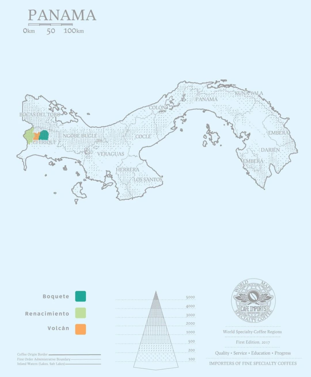 Panama vs Guatemala Geisha Beans: A Comprehensive Analysis of Regional Flavors, Auction Backgrounds, and Pour Over Recommendations
