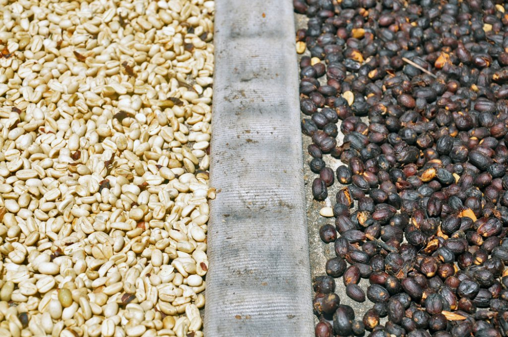Complete Guide to Coffee Bean Processing Methods: Flavor Comparison of Natural, Washed, Honey, and Anaerobic Fermentation