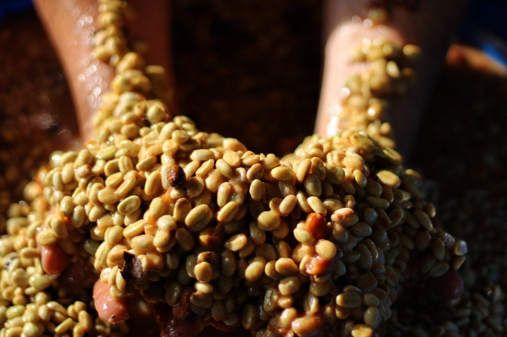 How is anaerobic enzymatic washed coffee made? A flavor analysis of the Caturra variety + Rose Valley