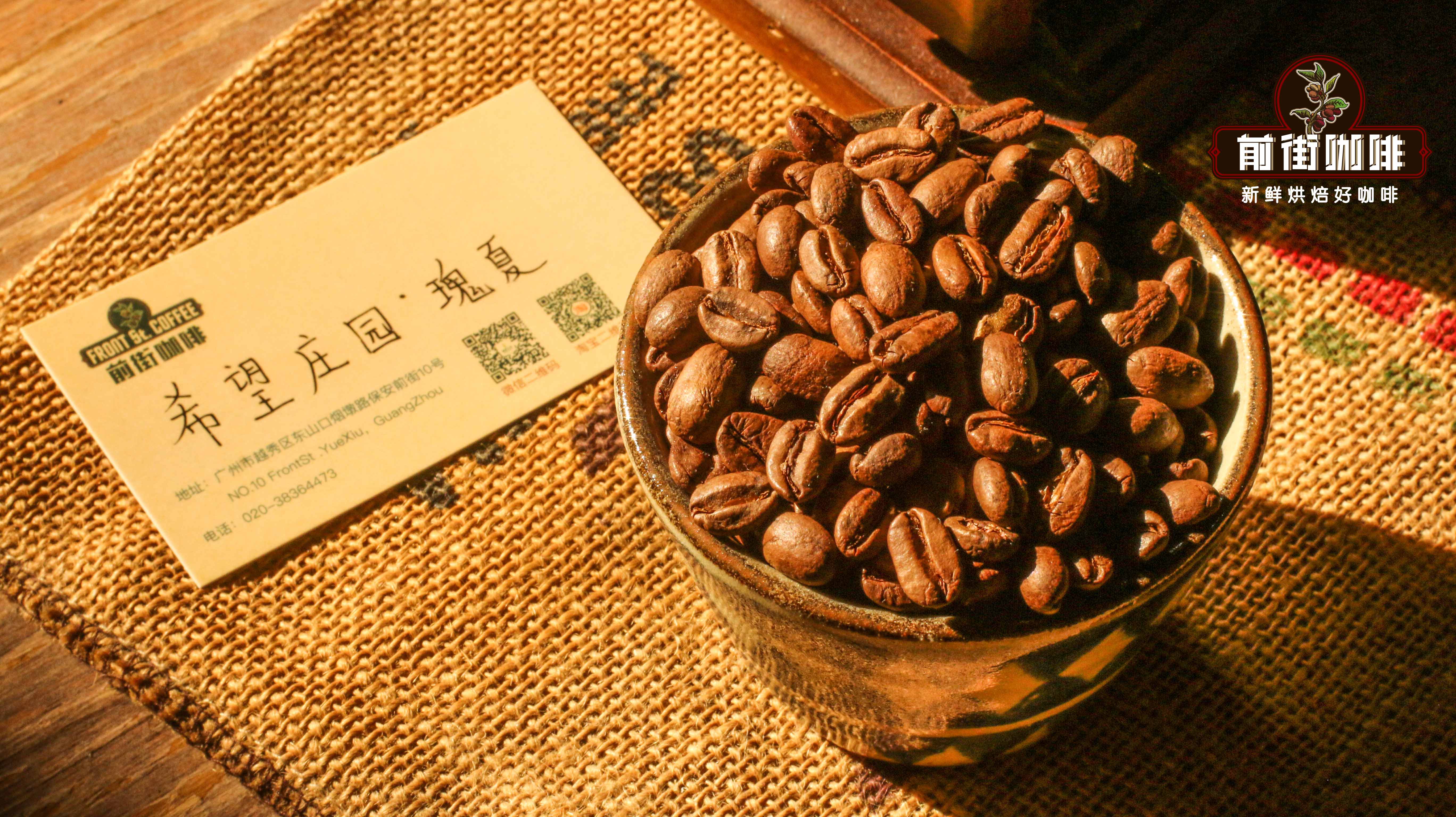 Pour Over Guide for Geisha from Three Major Origins: Temperature, Coffee-to-Water Ratio, and Flavor Analysis