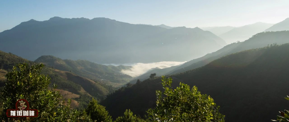 Flavor Analysis of Yunnan’s Four Major Coffee Regions: Where to Buy the Best Small Beans in Dehong, Baoshan, Lincang, and Pu'er?