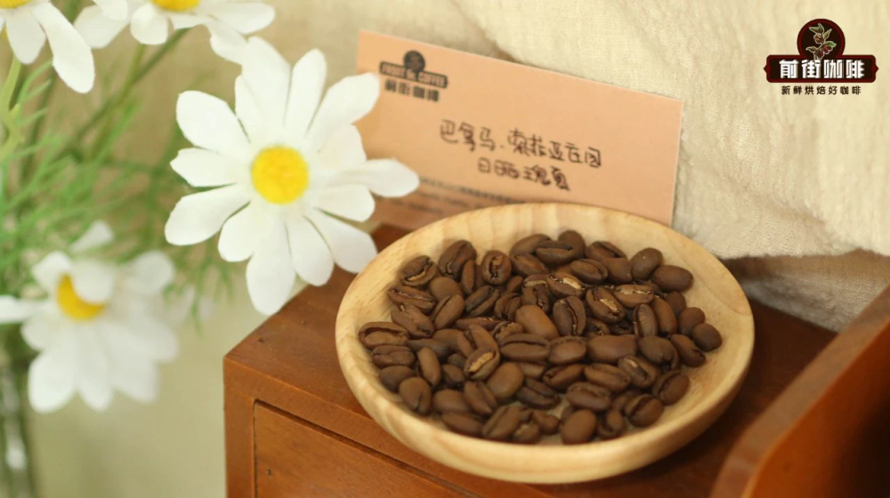How to roast Geisha coffee? A comprehensive look at flavor differences across light, medium, and dark roasts, plus pour over recommendations