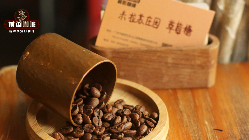 Recommended Costa Rica Geisha Blends: Mirasù Berry Honey Process – Exploring the Berry Aroma