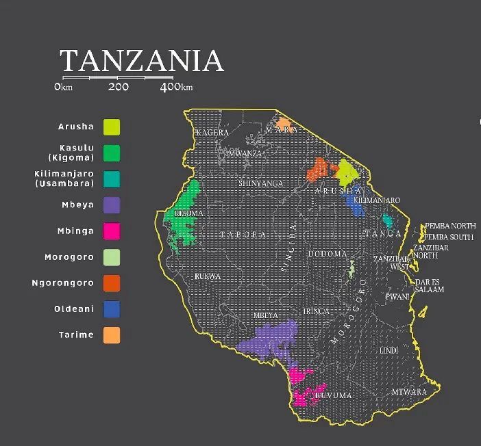 The Complete Guide to Tanzanian Kilimanjaro Coffee: Bourbon Variety, Washed Processing, and Pour Over Parameters