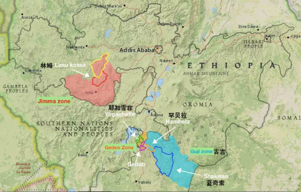 Complete Guide to Ethiopian Yirgacheffe Coffee: Guji & West Arsi Regions, Huakui Variety, and Washed & Natural Processing Methods