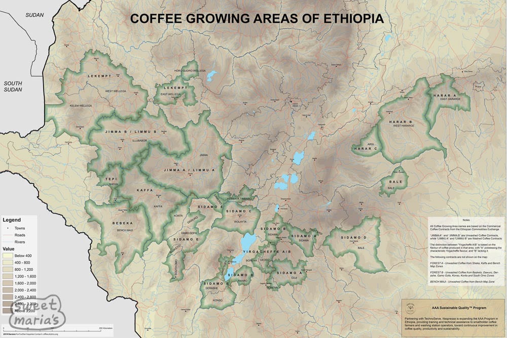 A Complete Guide to Ethiopia’s Nine Major Growing Regions: Differences Between Washed and Natural Yirgacheffe and Brewing Recommendations