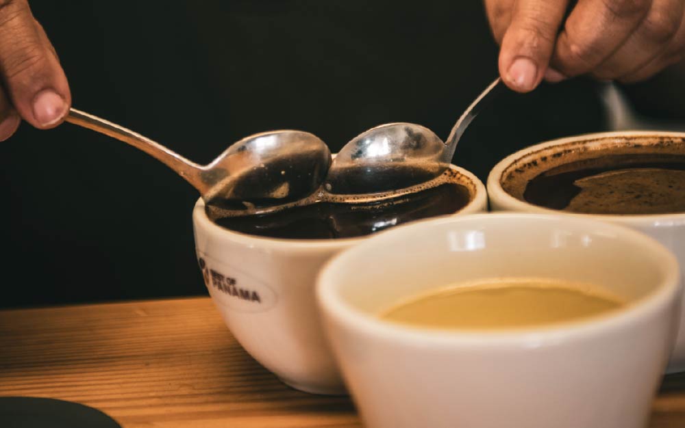 A Complete Guide to Finca El Valle Geisha Varieties | Differences Between Red and Green Labels & Pour Over Brewing Tips