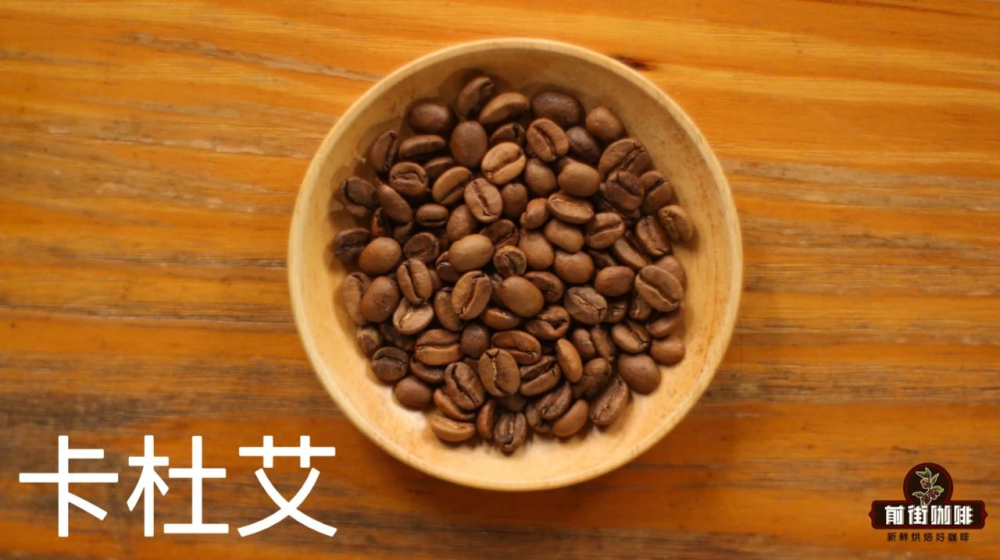 The Evolution of Honduras' Coffee Industry & Pour Over Parameters Guide: A Comprehensive Analysis of the Flavor Profiles of 6 Major Growing Regions