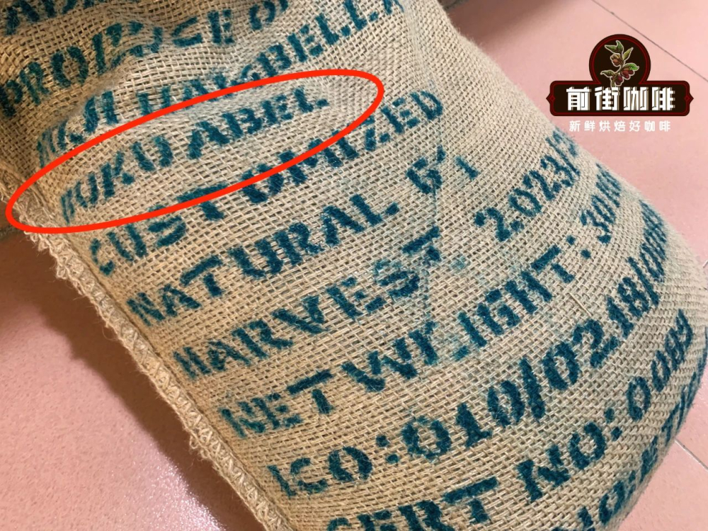 Analysis of Ethiopian Yirgacheffe Huakui Coffee Bean Variety and Full Guide to Pour Over & Moka Pot Brewing