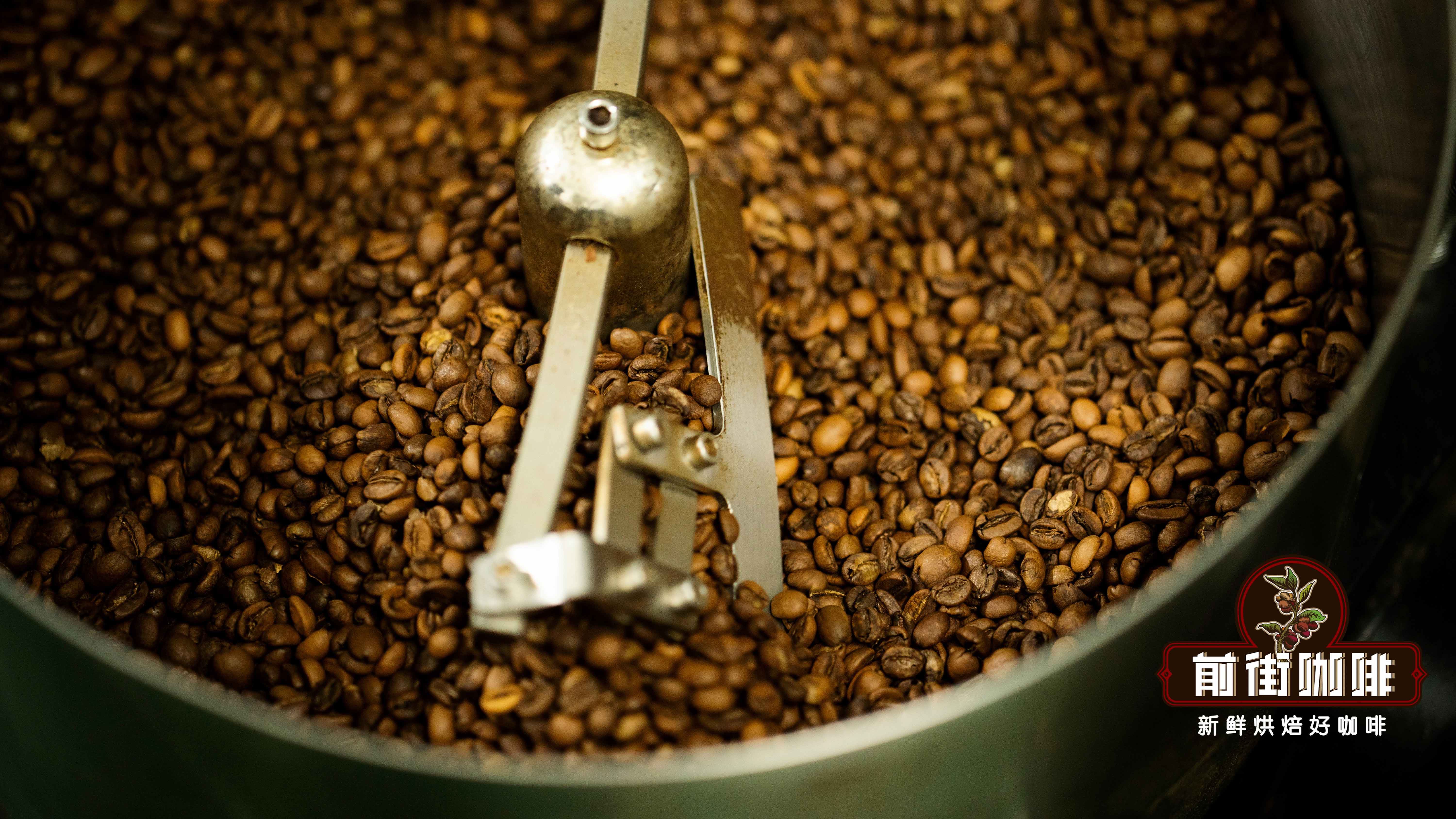 A Complete Guide to Honduran Specialty Coffee: Regions, Varieties, Flavor Profiles, and Pour Over Recommendations