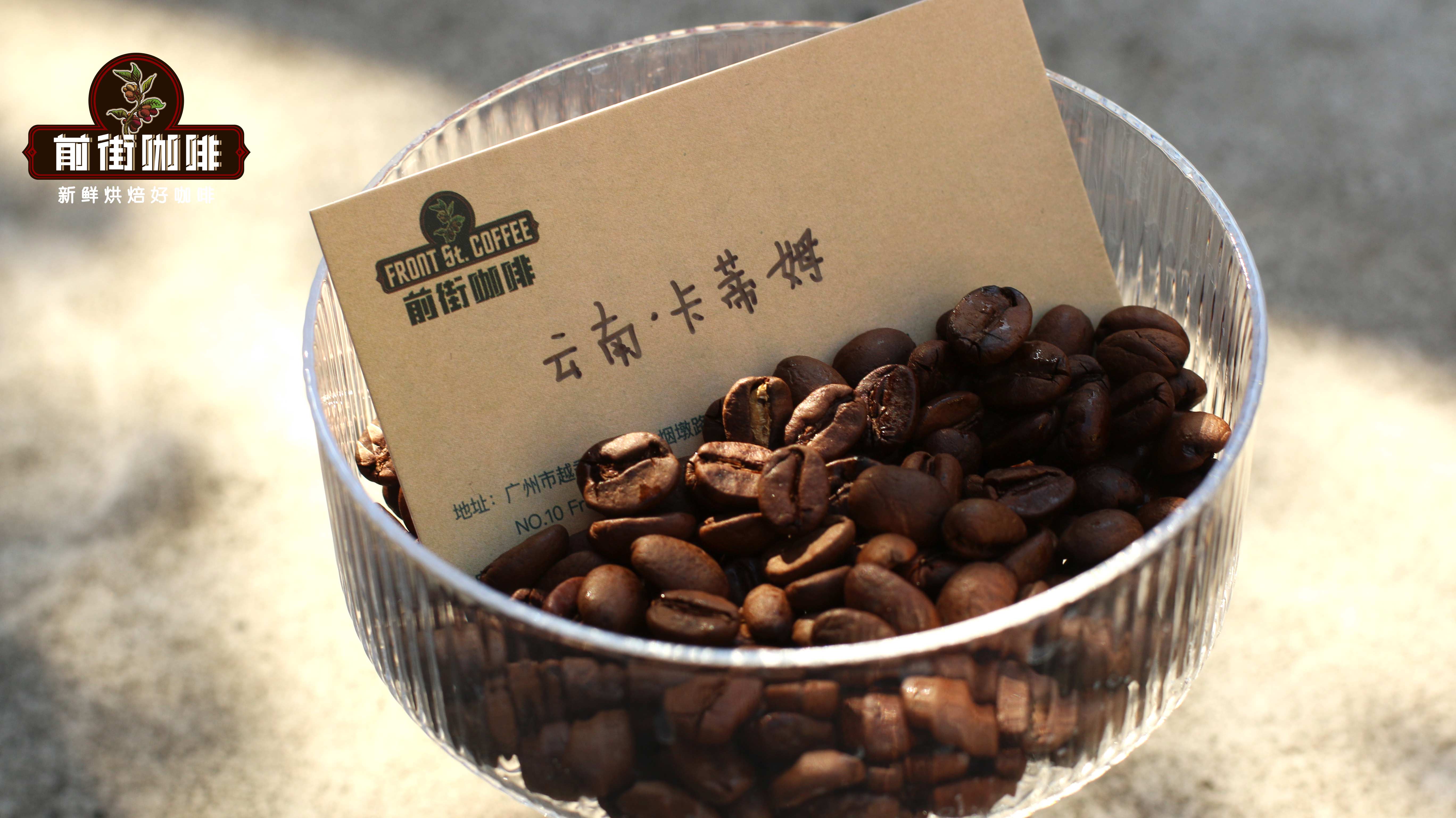 A Complete Guide to the Catimor Coffee Variety: Flavors of Baoshan, Yunnan and Pour Over Parameters