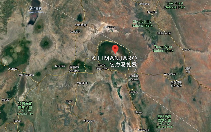 Tanzania Kilimanjaro Coffee: A Complete Guide to Washed Typica Flavor & High-Altitude Cultivation