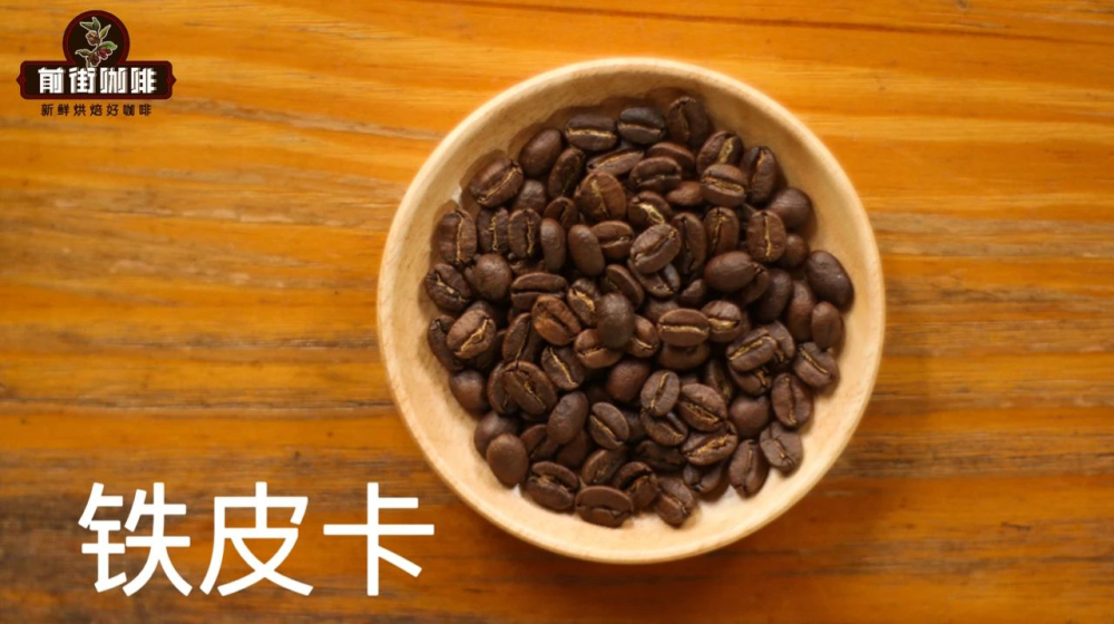 Complete Guide to Pour Over Brewing Tanzanian Kilimanjaro AA Typica: Washed Process, Flavor Profile & Optimal Extraction Parameters