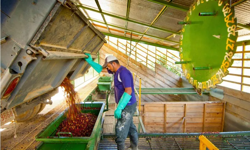 A Complete Guide to Costa Rican Coffee Regions & Honey Processing: From Tarrazú to Single-Origin Pour Over Parameters